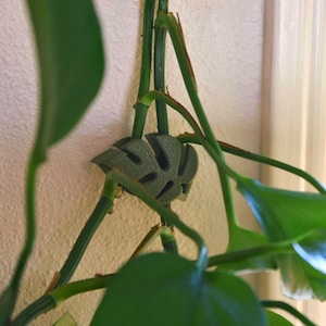 May include: A green, leaf-shaped plant support clip, designed to hold plant stems in place. The clip is made of a dark green material and is attached to a green plant stem. The background is a light-colored wall and a window frame. Plant care accessory.