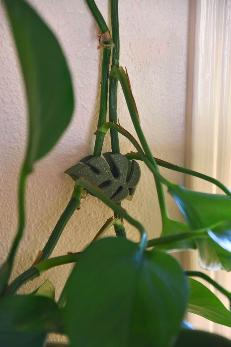 May include: A green, leaf-shaped plant support clip, designed to hold plant stems in place. The clip is made of a dark green material and is attached to a green plant stem. The background is a light-colored wall and a window frame. Plant care accessory.