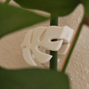 May include: A white, leaf-shaped plant support clip, designed to hold a plant stem. The clip is made of a solid, opaque material and is attached to a green stem. The background is a neutral, textured wall and green leaves.