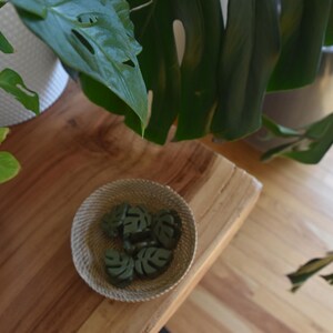 May include: A small, round, woven basket filled with several dark green, leaf-shaped soaps. The basket sits on a wooden surface, with large green plant leaves in the background. The soaps appear to be approximately 1 inch in diameter.