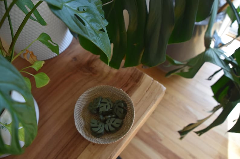 May include: A small, round, woven basket filled with several dark green, leaf-shaped soaps. The basket sits on a wooden surface, with large green plant leaves in the background. The soaps appear to be approximately 1 inch in diameter.