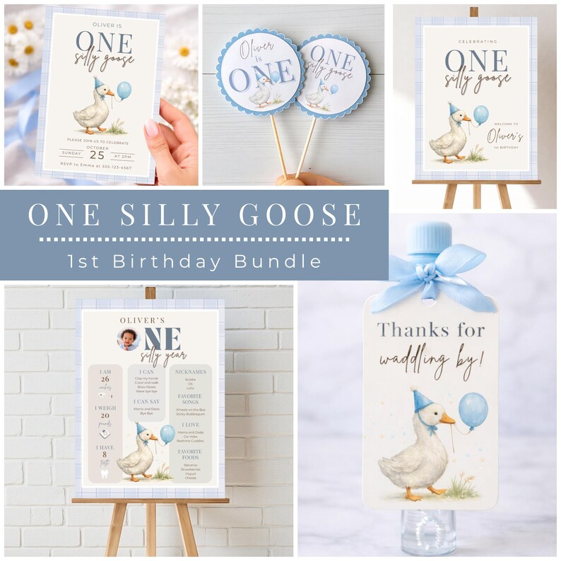 Silly Goose Birthday Welcome Sign | First Birthday Sign Boy Goose Party | Editable Canva Template | 1st Birthday Decor Instant Download image 6