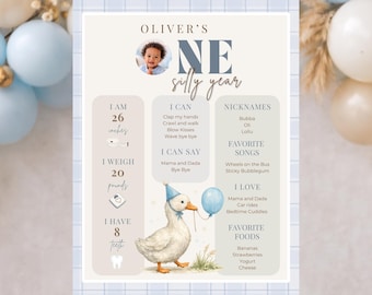 Silly Goose Birthday Milestone Board | 1st Birthday Milestone Board Boy | Editable First Birthday Sign | Goose Birthday Poster Canva