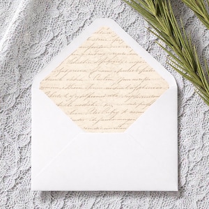 May include: A white envelope with a vintage script lining. The envelope is open, revealing the printed text inside. The background is a gray lace fabric with a sprig of green foliage.