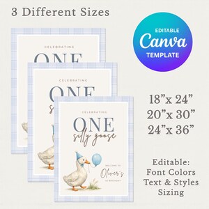 May include: Three framed prints with a light blue grid border. The prints feature a watercolor illustration of a goose holding a balloon, with text that reads "Celebrating One silly goose." The sizes are 18" x 24", 20" x 30", and 24" x 36".