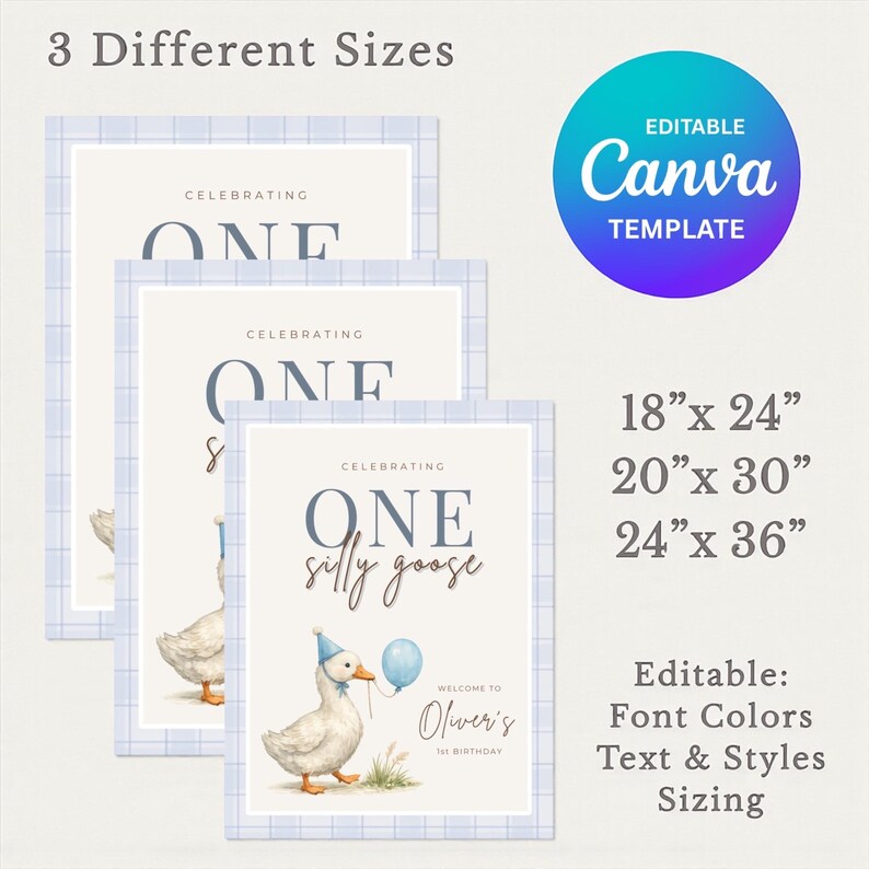 May include: Three framed prints with a light blue grid border. The prints feature a watercolor illustration of a goose holding a balloon, with text that reads "Celebrating One silly goose." The sizes are 18" x 24", 20" x 30", and 24" x 36".