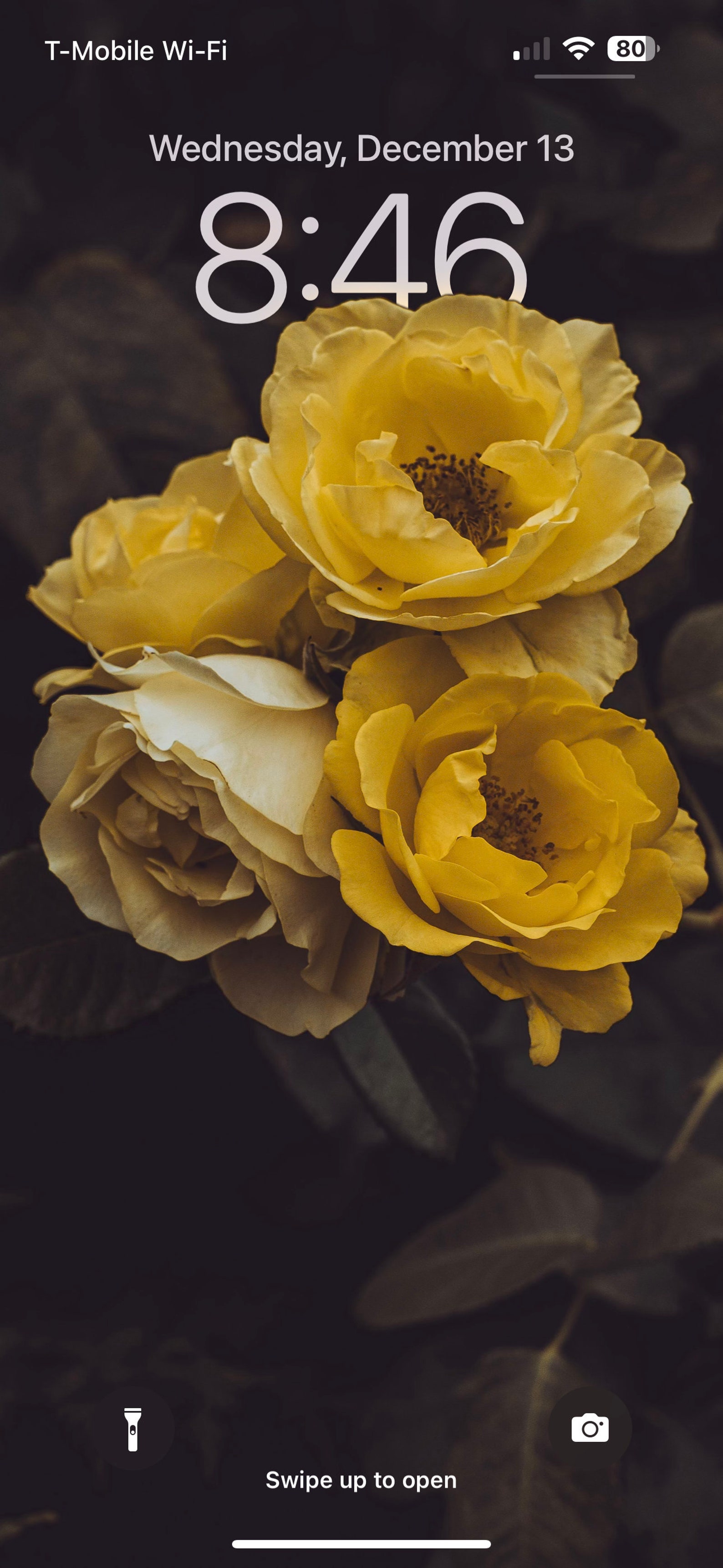 Yellow Rose Wallpaper | Ios Lockscreen | Cellphone Wallpaper ...