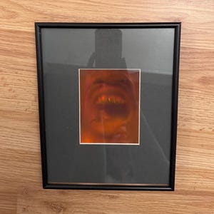 Professionally Framed Halographic Picture, Hologram Framed Wall Art, Matted Hologram Picture