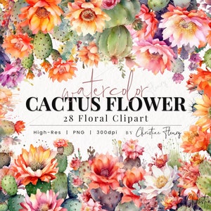 Aquarell Kaktus Blume Clipart, Aquarell Blume Clipart, Aquarell PNG, PNG Sofortiger Download für kommerzielle Nutzung