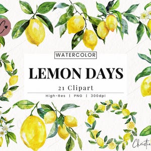 Watercolor Lemon Days Clipart, Lemon Clipart, Fruity PNG, Watercolor Lemon Wedding PNG Instant Download for Commercial Use