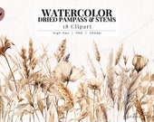 Watercolor Pampass Grass Clipart, Boho Clipart, Dried plants PNG, Boho PNG Instant Download for Commercial Use