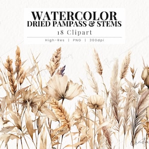 Aquarelle herbe Pampass Clipart, Clipart Boho, plantes séchées PNG, Boho PNG Téléchargement instantané pour un usage commercial