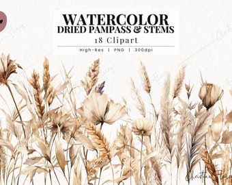 Aquarel pampassgras clipart, boho clipart, gedroogde planten PNG, boho PNG Instant Download voor commercieel gebruik