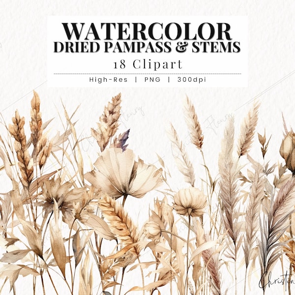 Watercolor Pampass Grass Clipart, Boho Clipart, Dried plants PNG, Boho PNG Instant Download for Commercial Use