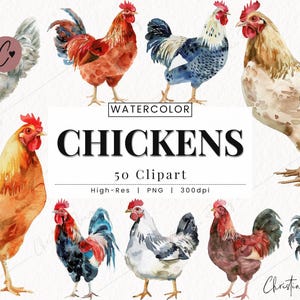 Aquarelle poulet clipart, clipart ferme, fille qui aime les poulets PNG, Boho Chicken PNG téléchargement immédiat pour un usage commercial