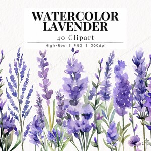Clipart de lavanda em aquarela, PNG de lavanda, clipart de flor em aquarela, PNG de primavera, download instantâneo de casamento PNG para uso comercial