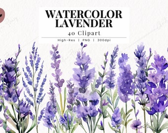 Watercolor Lavender Clipart, Lavender PNG, Watercolor Flower Clipart, Spring PNG, Wedding PNG Instant Download for Commercial Use