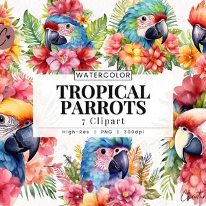 Tropical Parrots Clipart, Summer PNG, Tropical PNG, Colorful Parrot PNG Instant Download for Commercial Use