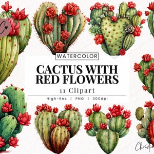 Cactus con flores rojas Clipart, Cactus occidental PNG, Cowboy PNG, Suculenta PNG Descarga instantánea para uso comercial
