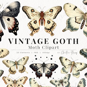 Vintage Goth Motte Clipart, Gothic Clipart, Botanische PNG, PNG Sofortdownload für kommerzielle Nutzung