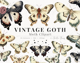Vintage Goth Moth Clipart, Gothic Clipart, Botanical PNG, PNG Instant Download for Commercial Use