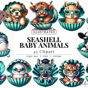 Imágenes prediseñadas de animales bebés con conchas marinas, imágenes prediseñadas de playa, imágenes prediseñadas de verano, imágenes prediseñadas de animales bebés, descarga instantánea para uso comercial