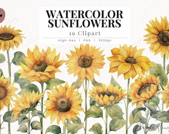 Aquarel zonnebloemen clipart, zonnebloem PNG, aquarel bloem clipart, sprint PNG, herfst PNG Instant Download voor commercieel gebruik