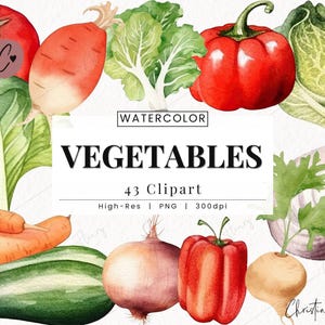 Aquarelle de légumes clipart, légume PNG, aquarelle salade des cliparts, cuisine PNG, produit frais téléchargement immédiat pour un usage commercial