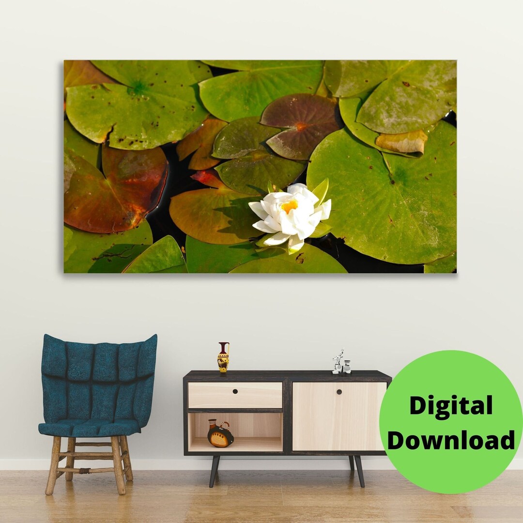 Blooming Lotus Surrounded by Lily Pads in Pond // Printable Wall Art ...