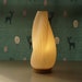 see more listings in the Lampe de table section