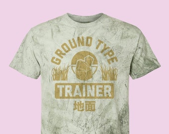 Ground Type Trainer Color Blast Comfort Colors Tee T-Shirt, Kawaii T-Shirts, Japanese Graphic Tees, Video Game Shirt