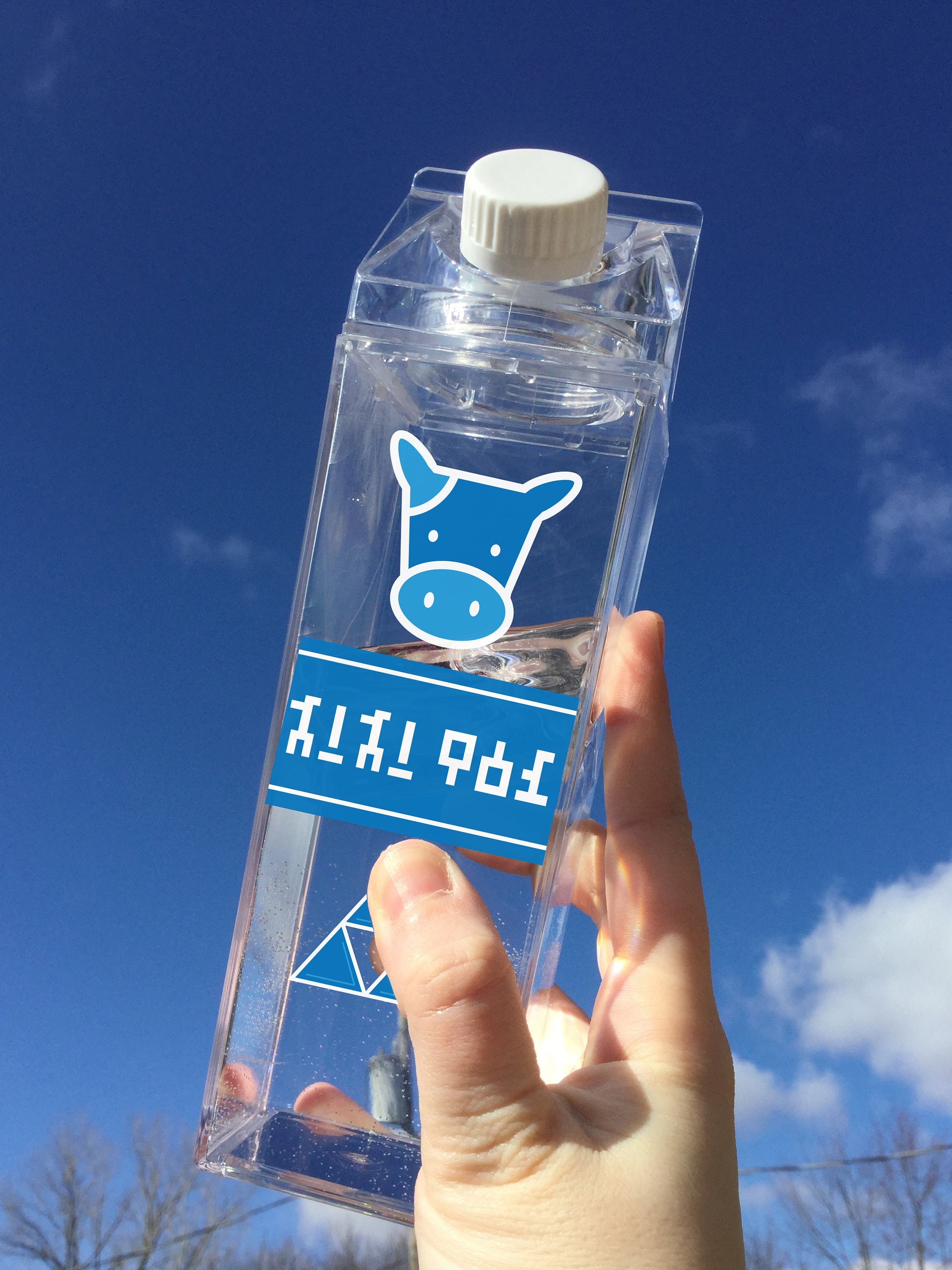 LV Milk Carton Water Bottle [Video]