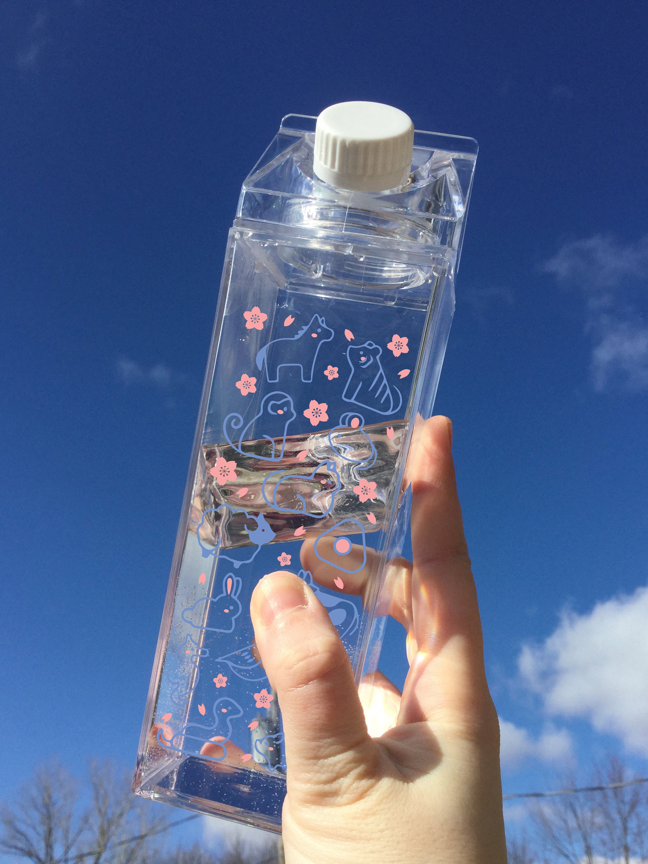 Aggregate 84+ water bottle anime