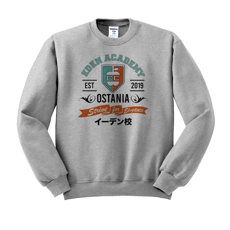 Spy Academy Unisex Crew Neck, Anime Sweatshirt, Spy Anime Crew Grey