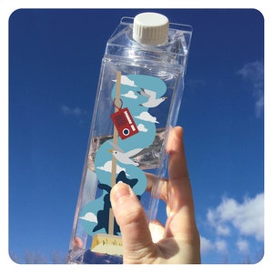 Witch Cat and Broom Milk Carton Water Bottle, Kawaii Water Bottle, 16.9 oz Bottle, Cute Anime Design