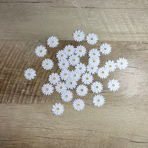 Piccole/minime 40 decorazioni di fiori di carta margherite bianche