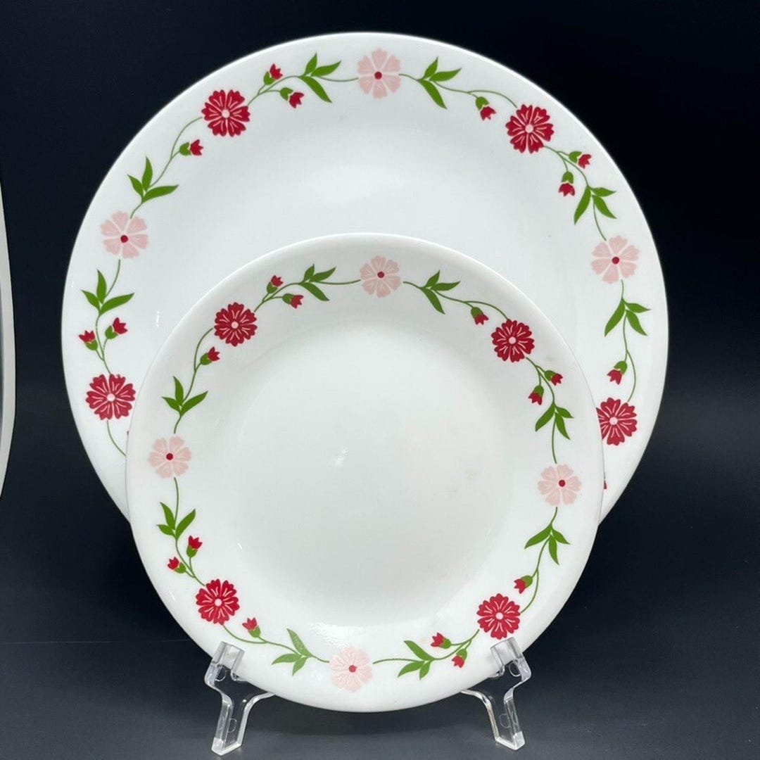 Corelle Spring Pink Plates Set of 2 10.25 /6.5