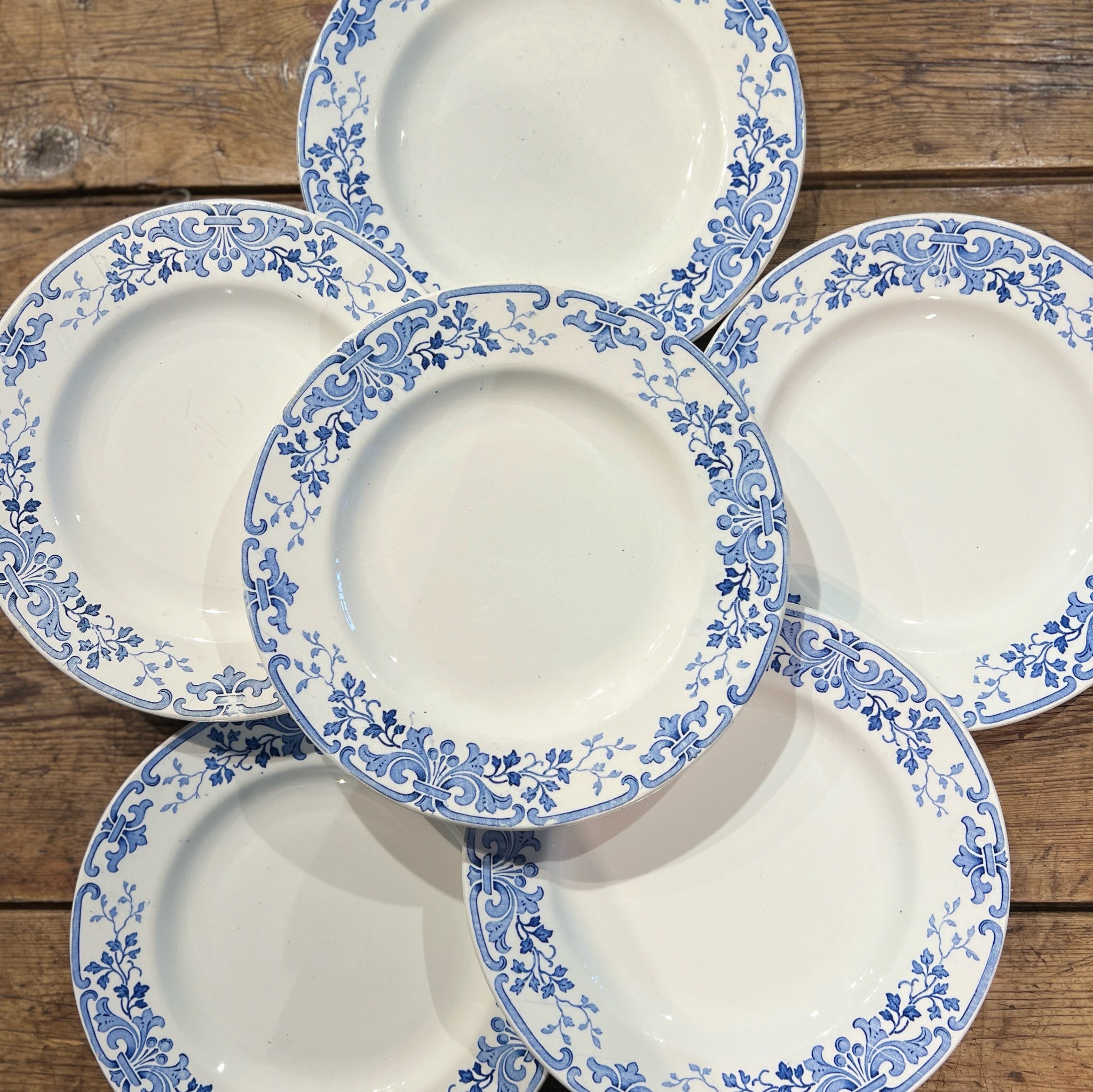 Cybèle - 6 Assiettes Plates