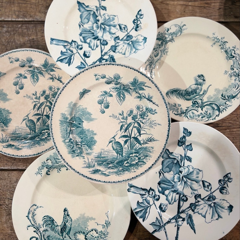 french vintage blue plates