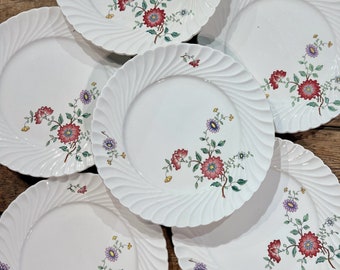 6 assiettes plates - SÉPHINE