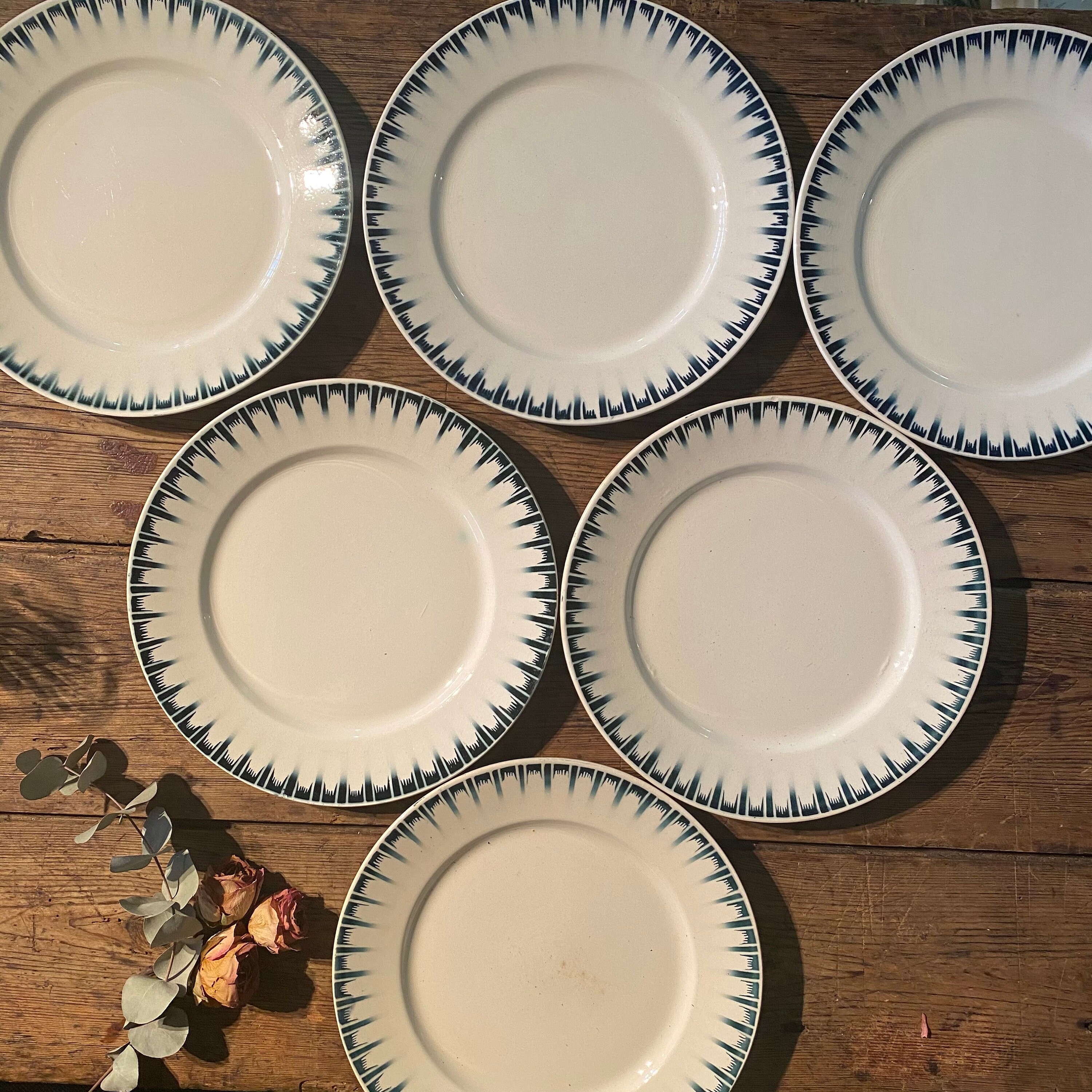 Reine - 6 Assiettes Plates