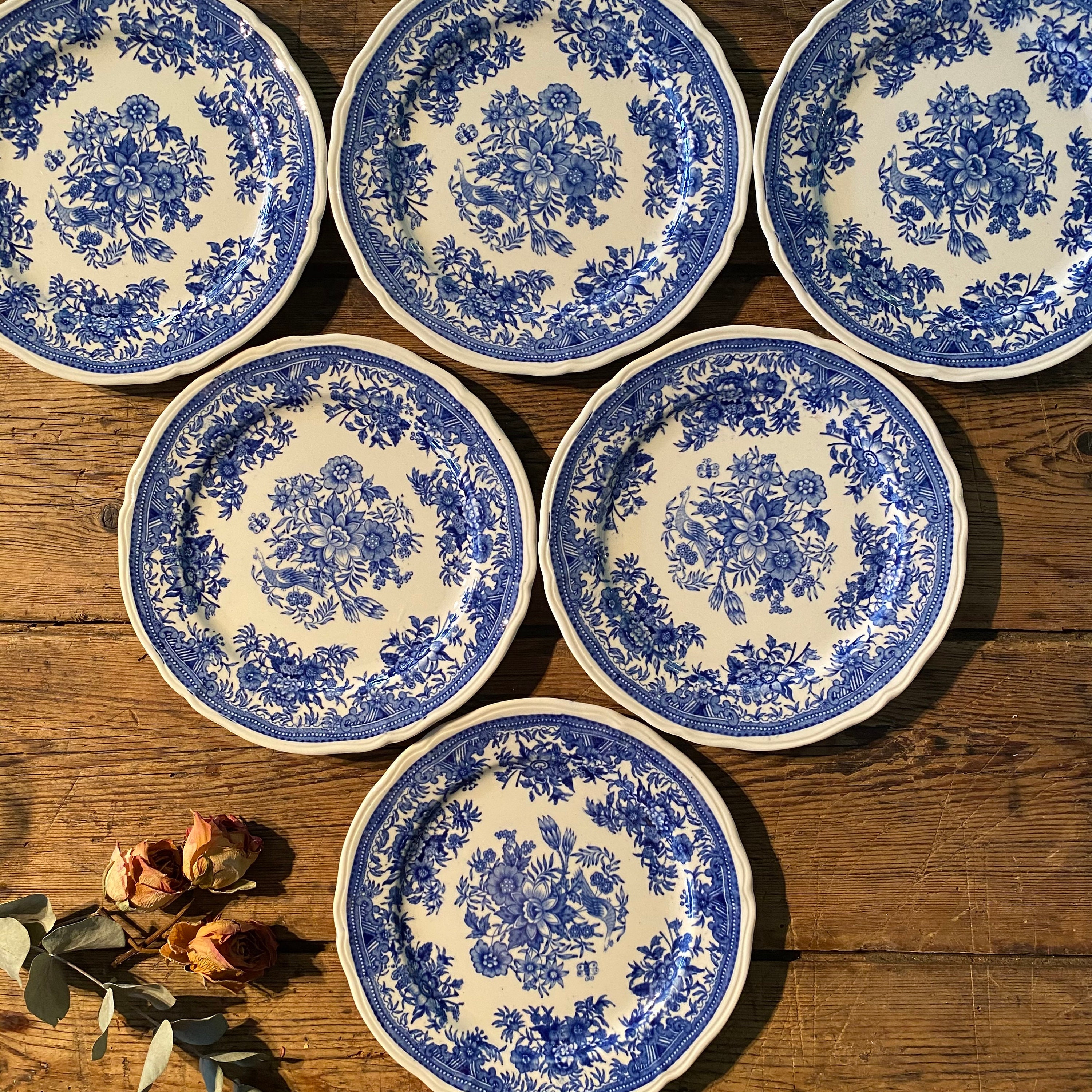 Victoriette - 6 Assiettes à Dessert