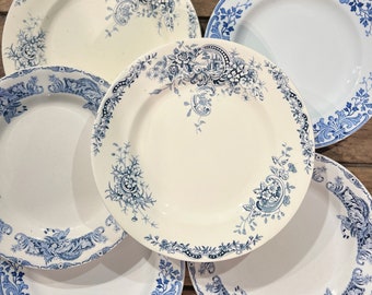 6 assiettes plates - ANTOINETTE