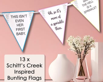 Baby Shower 'This isn't even her first baby!' Sprinkle Bunting - Baby Shower Bunting - Funny Baby Shower - Mummy Again