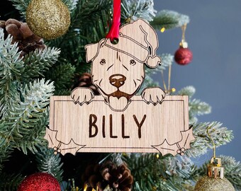 Puede incluir: Un adorno navideño de madera con un perro de dibujos animados que lleva un gorro de Papá Noel y sostiene un cartel que dice "BILLY".