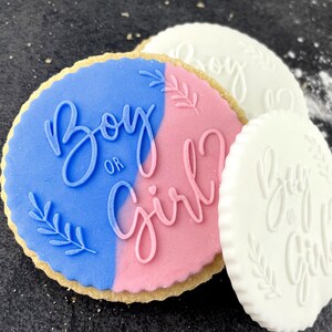 May include: Two decorated sugar cookies with blue and pink icing. The cookies are decorated with the text "Boy or Girl?" in white icing.