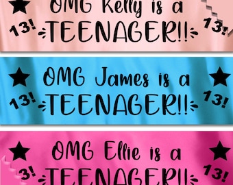 May include: Three pink and blue banners with black text and stars. The text on the banners reads "OMG Kelly is a 13! TEENAGER!! 13!"  "OMG James is a 13! TEENAGER!! 13!" and "OMG Ellie is a 3! TEENAGER!! 13!"