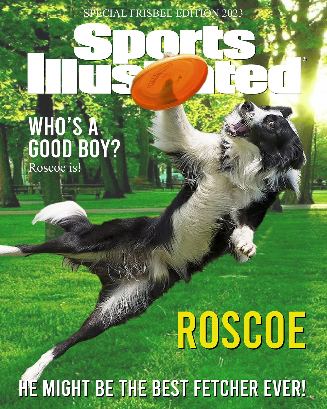 Custom Sports Illustrated Magazine Cover / Sports Magazine Etsy