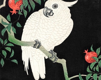 Cockatoo and Pomegranate by Ohara Koson, digital download