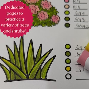 Może przedstawiać: Ilustracja różnych drzew i krzewów z tekstem "Dedicated pages to practice a variety of trees and shrubs!". Widocznych jest kilka kolorowych markerów. Obraz zawiera tabelę kolorów z kodami kolorów.